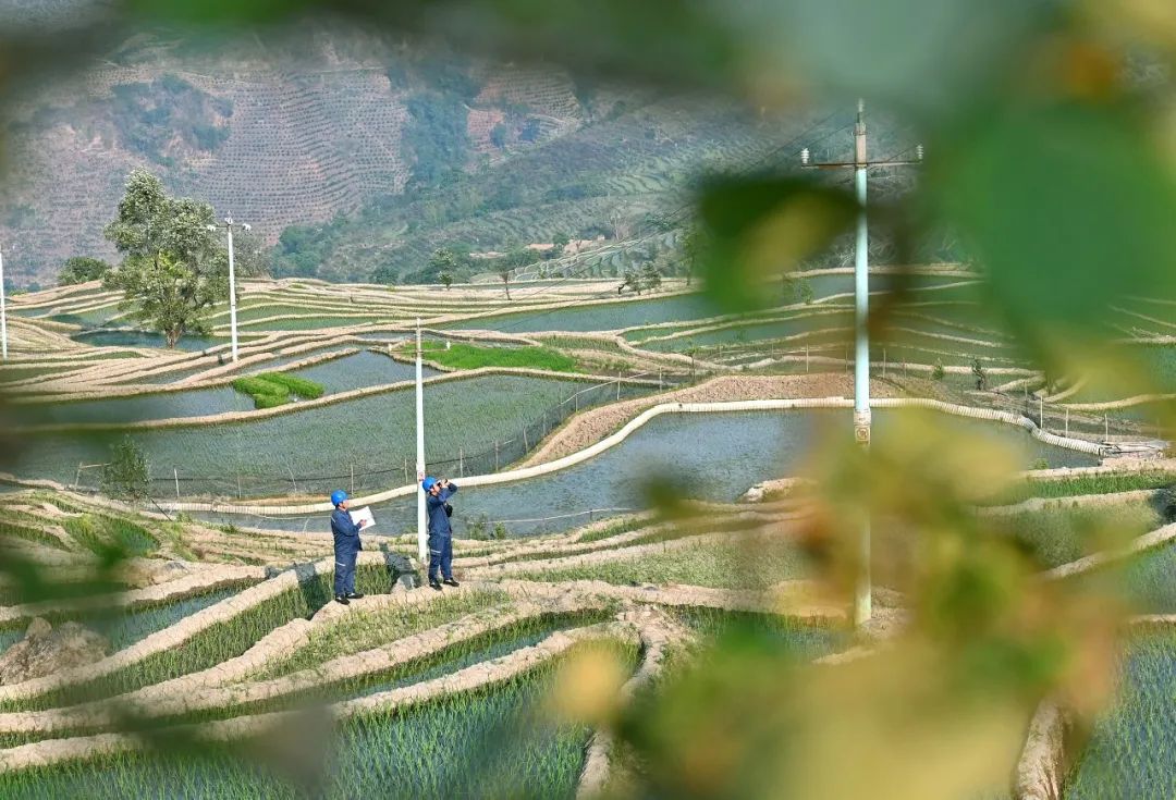 1690768841419020422.jpg 12.jpg