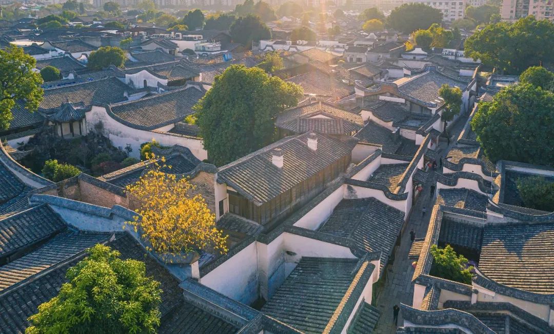 1690768942931059392.jpg 19.jpg