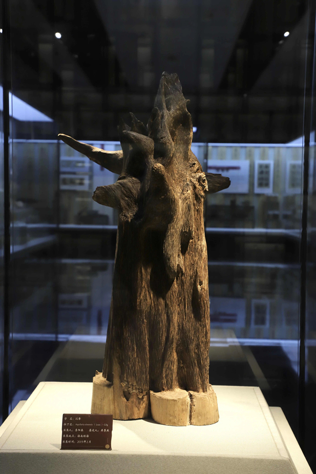 1716174624222027944.jpg 9_副本.jpg