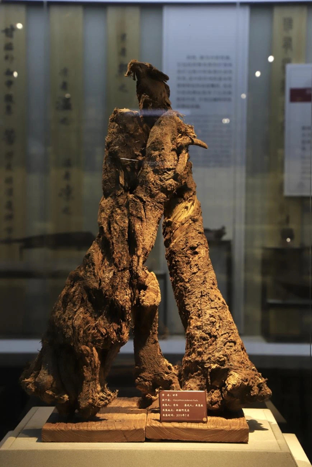 1716174665830093290.jpg 10_副本.jpg