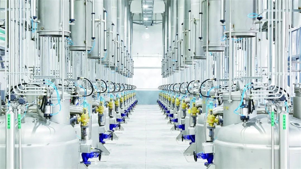 1725587474789019083.jpg 5.jpg