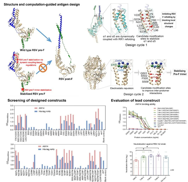 1727419176033048410.jpg 3.jpg