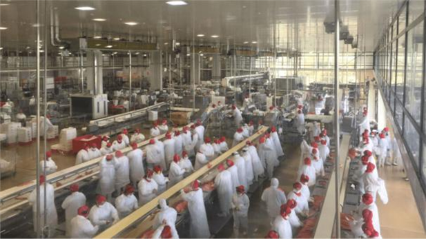 1737078047644068086.png 2.png