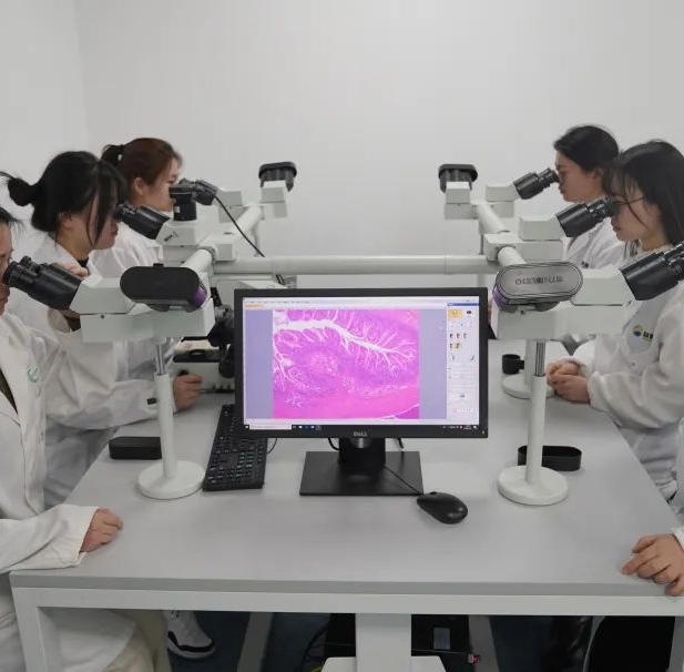 1741137210831017548.jpg 2.jpg