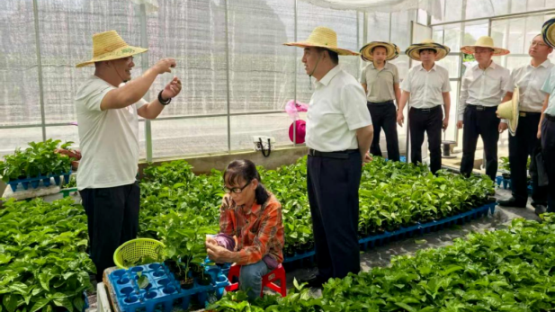 1758695805606056232.png 7.png