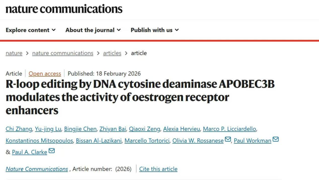 1772082913777092585.png 1.png