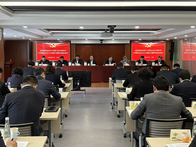 金年会集团党委召开学习贯彻习近平新时代中国特色社会主义思想主题教育总结会议